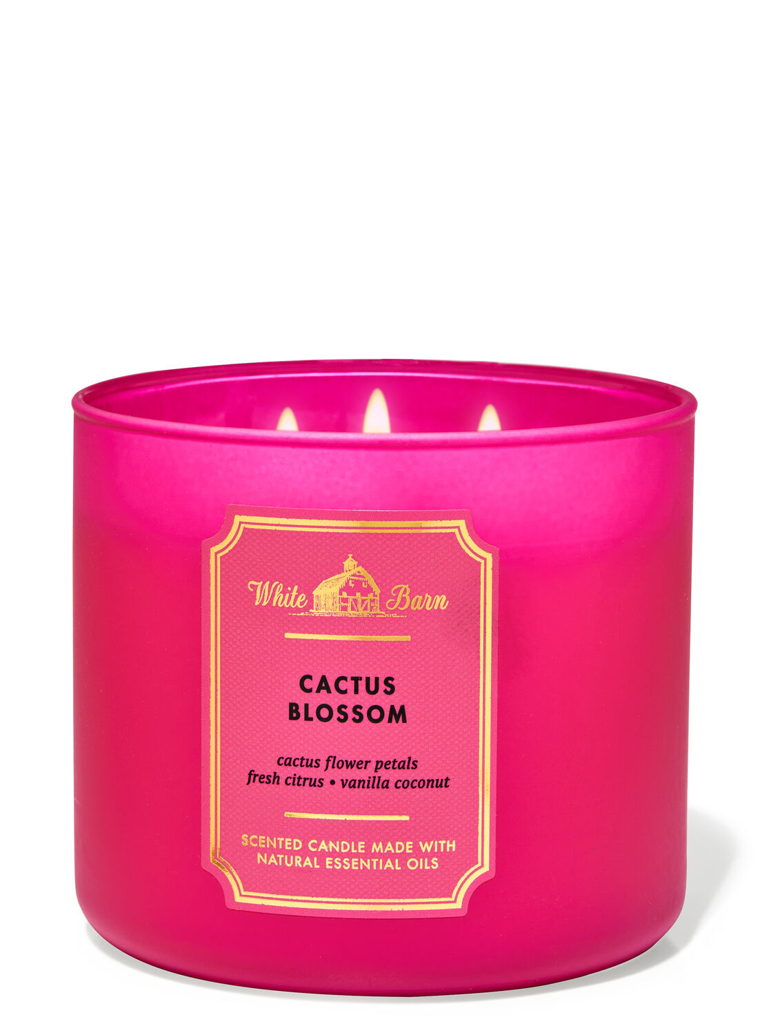 Cactus Blossom 3-Wick Candle - White Barn