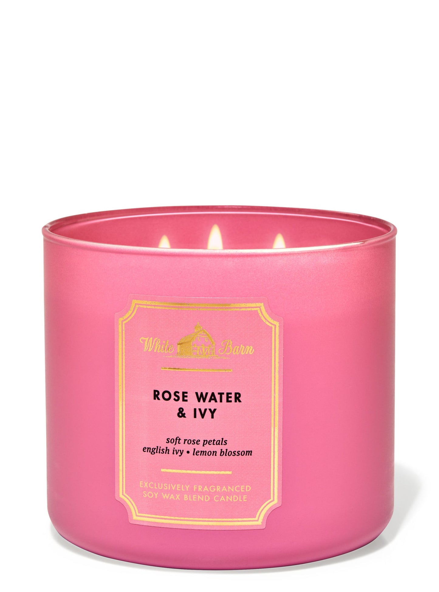 Rose Water &amp; Ivy 3-Wick Candle