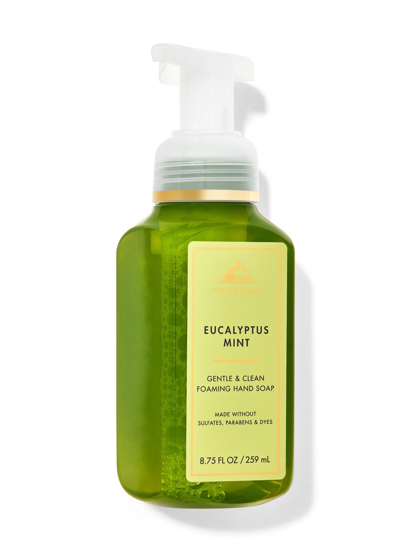 Eucalyptus Mint Gentle &amp; Clean Foaming Hand Soap