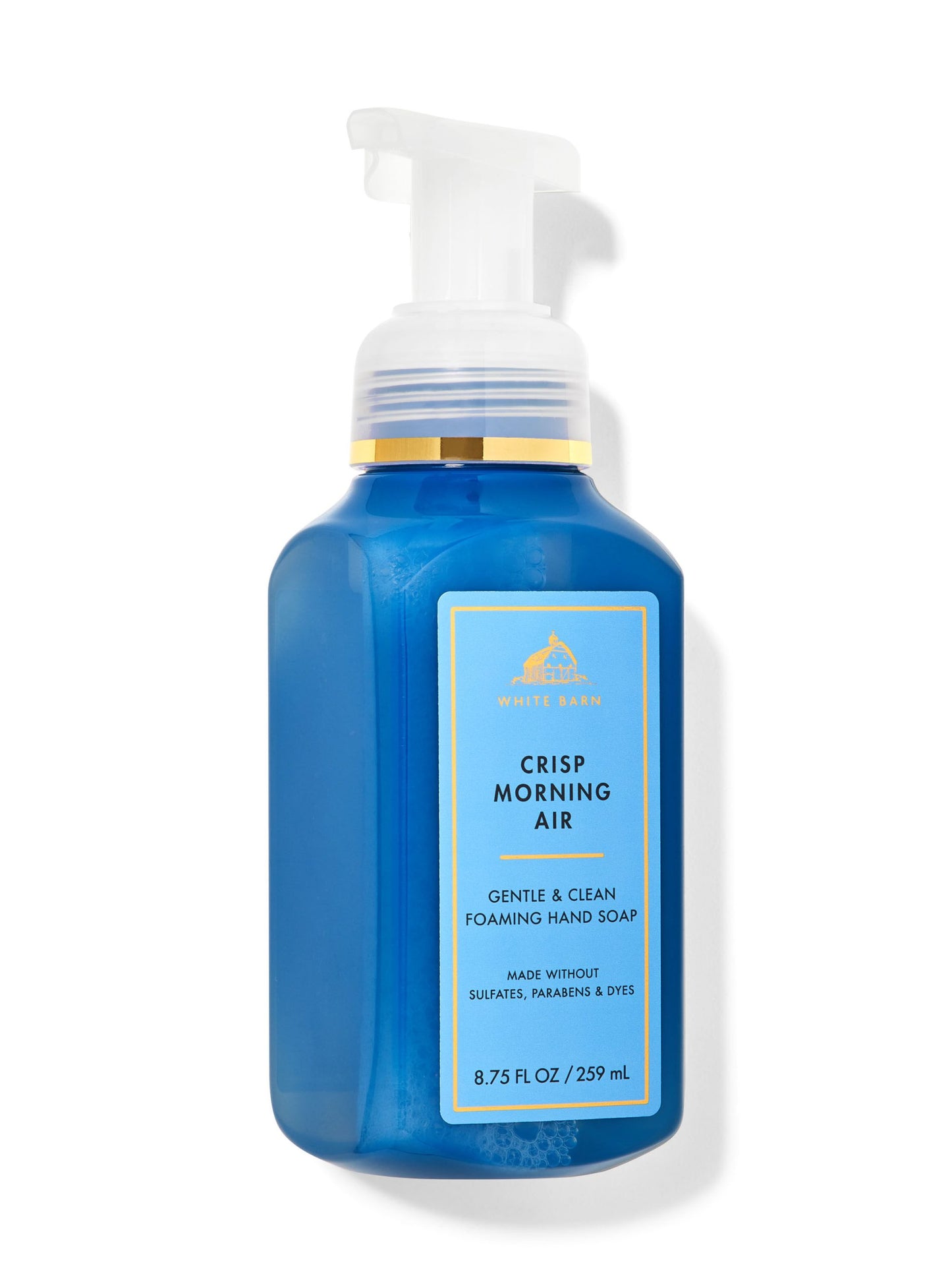 Crisp Morning Air Gentle &amp; Clean Foaming Hand Soap