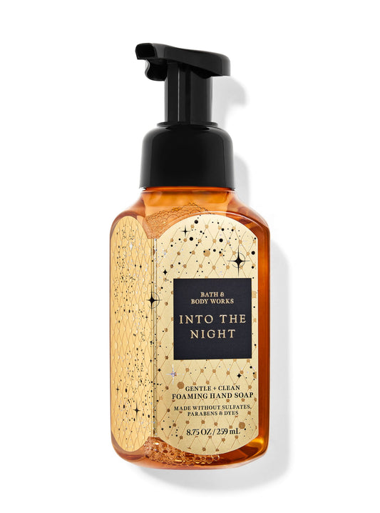 Into the Night Gentle &amp; Clean Foaming Hand Soap